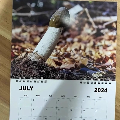 Kalender dinding khusus Menonjol dengan personalisasi dan ikatan spiral yang tahan lama